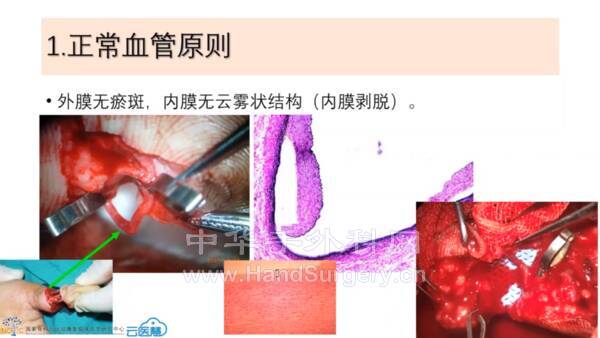 微信图片_20211227125628.png