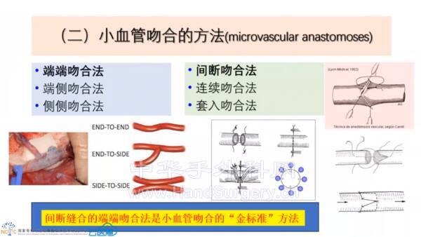 微信图片_20211227130313.png