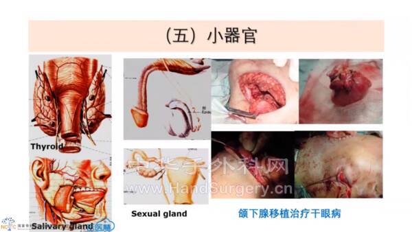 微信图片_20211227130809.png