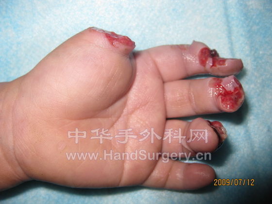 照片 262.jpg