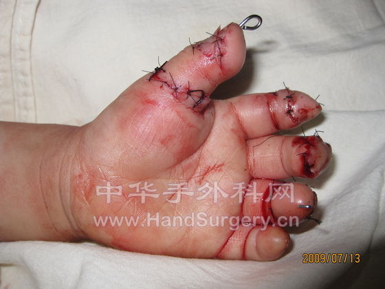 照片 271.jpg