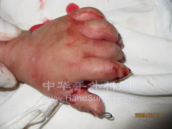 照片 275.jpg