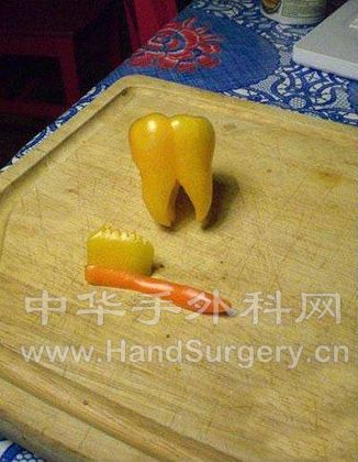 蔬菜13.jpg
