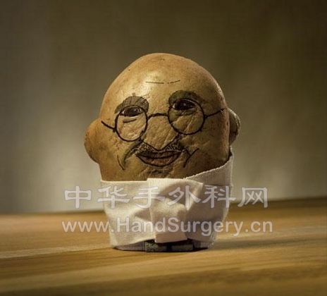 蔬菜15.jpg