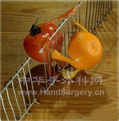 蔬菜19.jpg