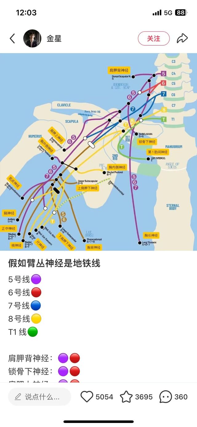 mmexport1737001835350.jpg