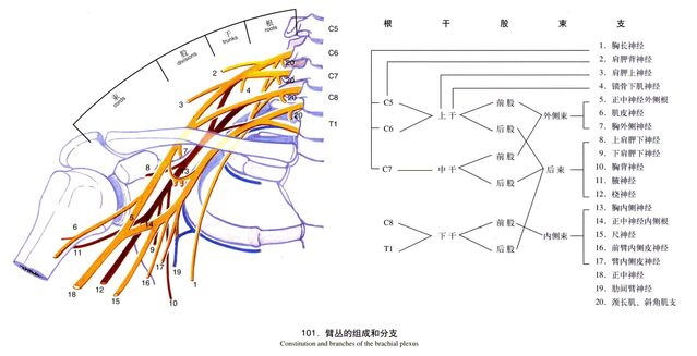 微信截图_20250327000812.png