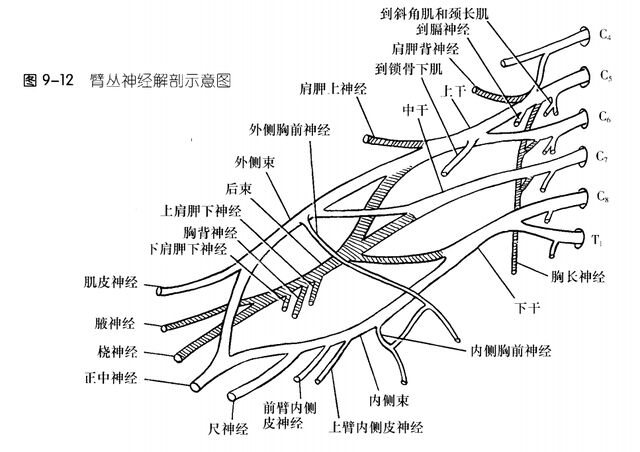 微信图片_20250327001509.png