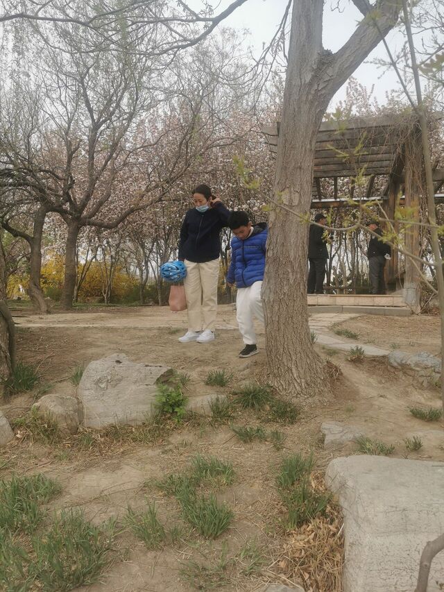 IMG_20250404_095500.jpg