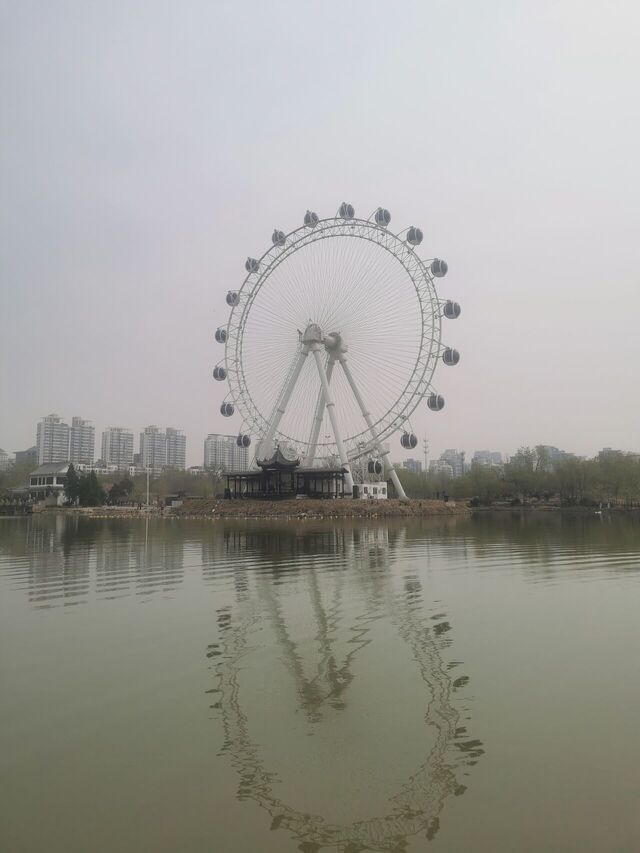 IMG_20250404_095522.jpg