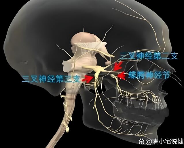 微信图片_20250422153059.png