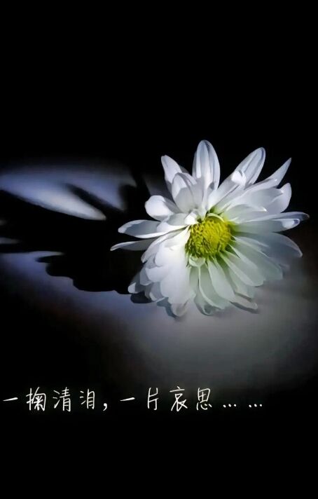 微信截图_20250505090418.png