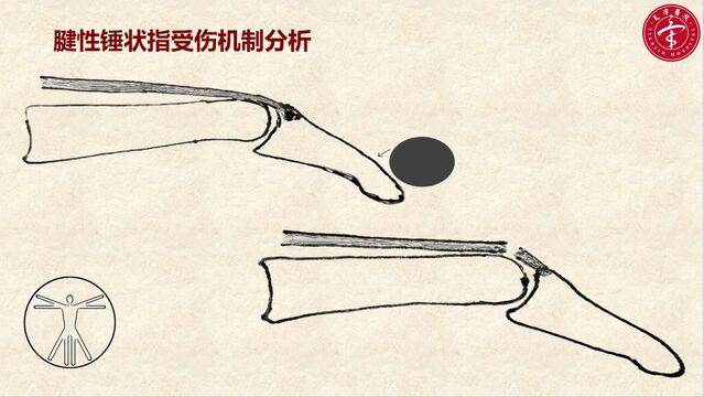 微信截图_20250601235543.png