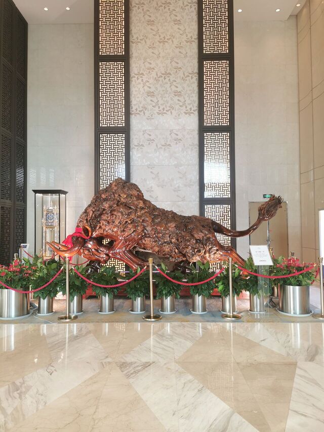 IMG_20250613_174422.jpg