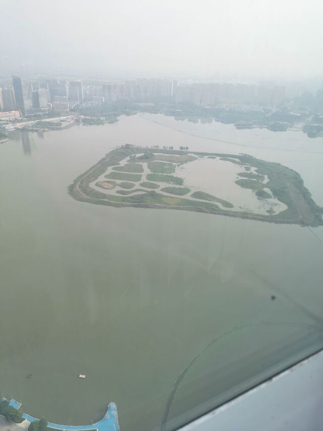 IMG_20250614_071013.jpg