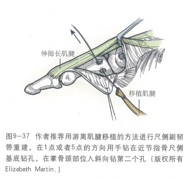 微信图片_20250617200934.png