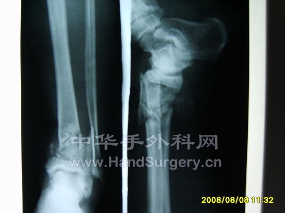 S8000743.JPG