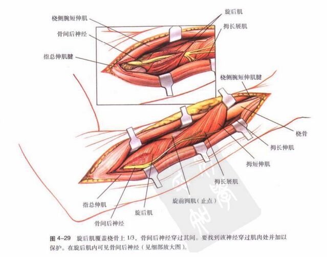 微信图片_20250924120732.png