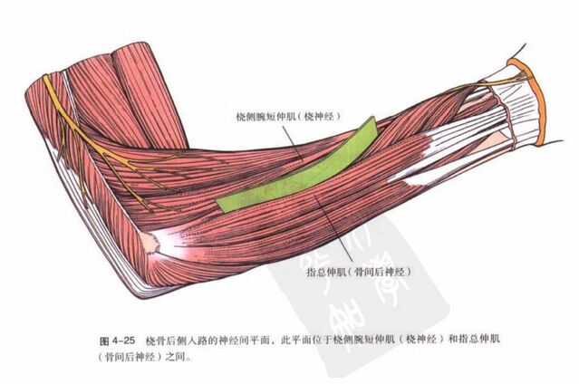 微信图片_20250924120551.png