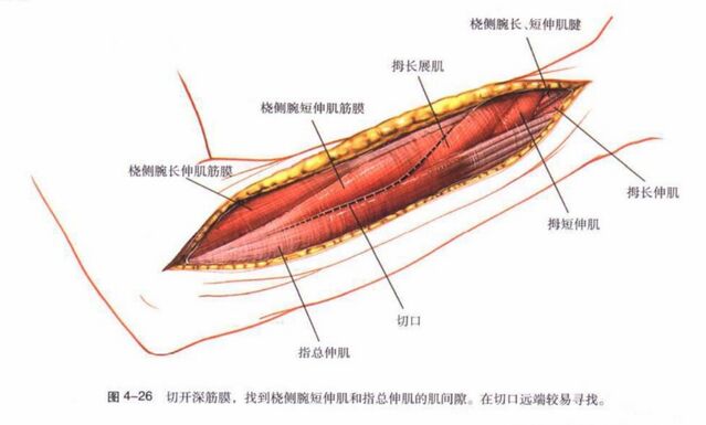 微信图片_20250924120701.png