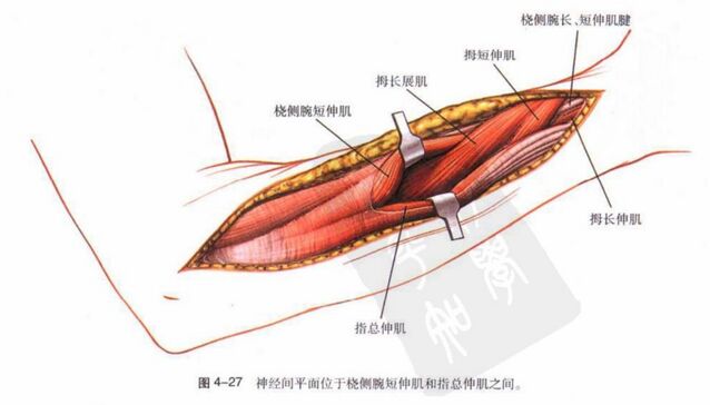 微信图片_20250924120724.png