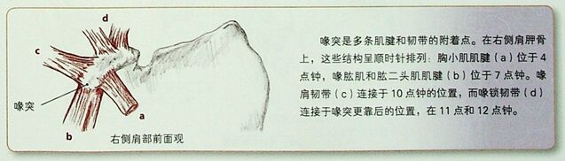 微信截图_20251009232216.png