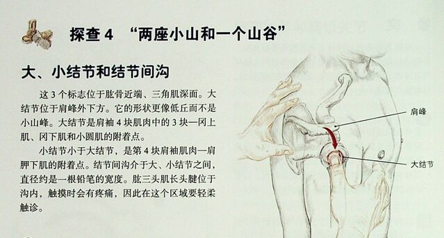 微信截图_20251009232216.png