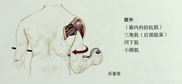 微信截图_20251009235405.png