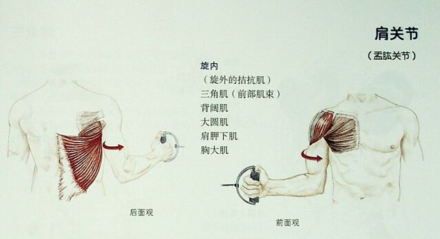 微信截图_20251009235523.png