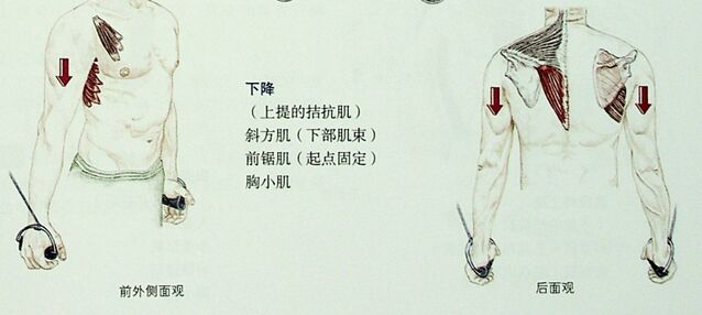微信截图_20251009235919.png