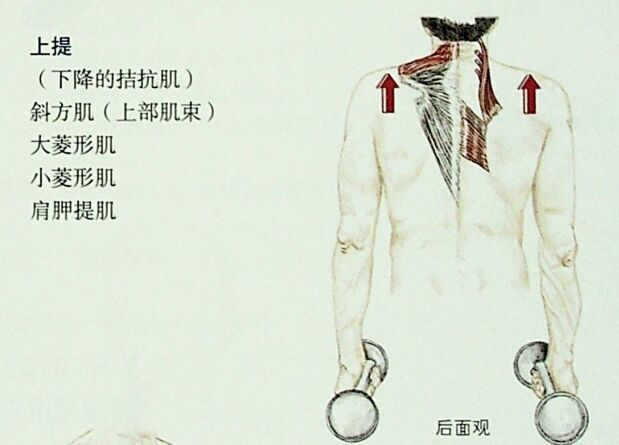 微信截图_20251010000057.png
