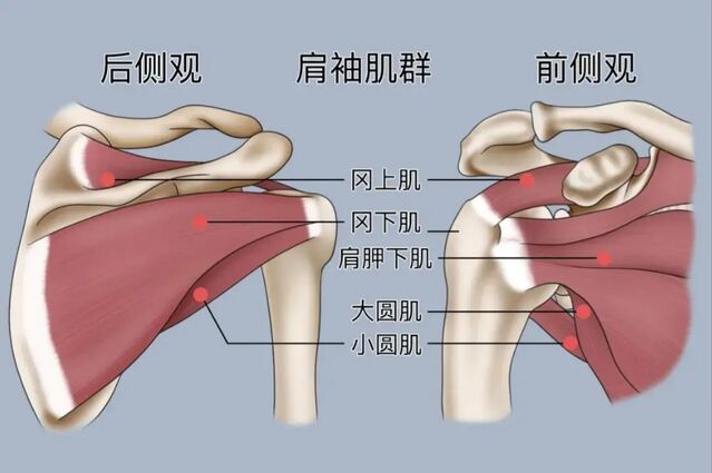 微信截图_20251009233651.png