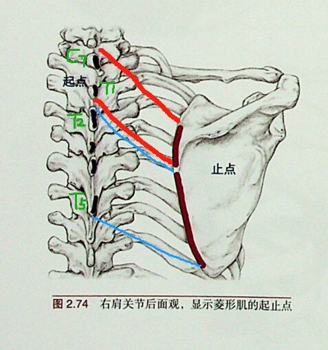 微信图片_20251015193502.png