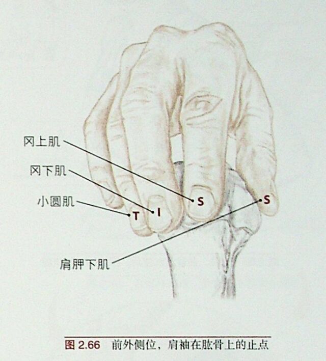 微信截图_20251015192654.png