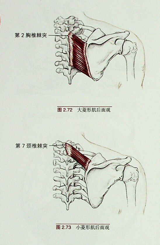 微信图片_20251015193556.png