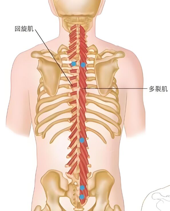 微信图片_20251016223236.png