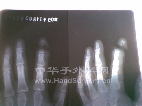 20091103.jpg