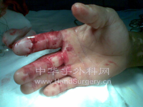 20091103(009).jpg