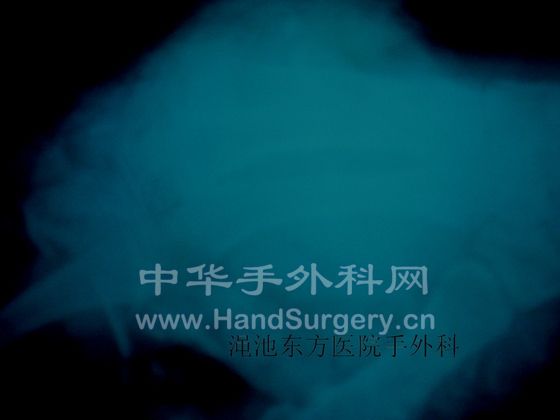照片003 165.jpg