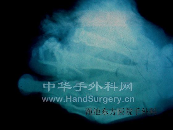 照片003 153.jpg