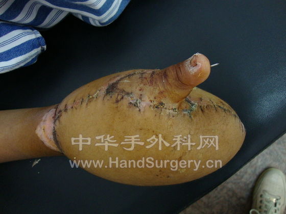 DSC01138.JPG