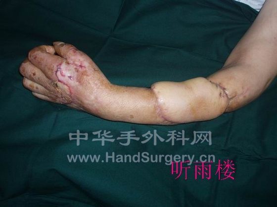 调整大小 PA200059.jpg