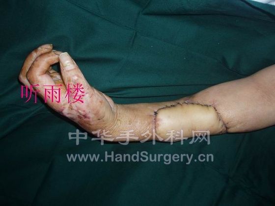 调整大小 PA200063.jpg