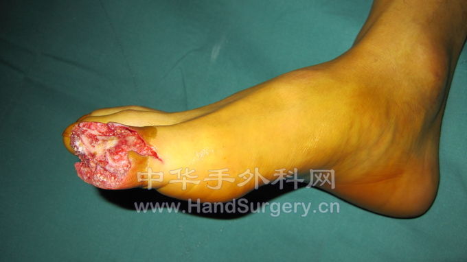 照片 267.jpg