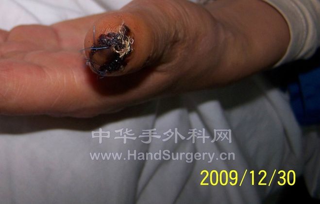 100_6750.jpg