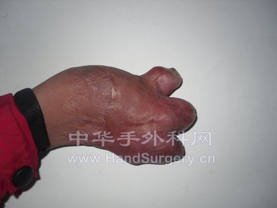 SDC10740.JPG