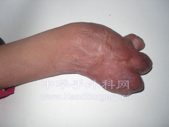 SDC10743.JPG