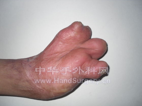 SDC10744.JPG
