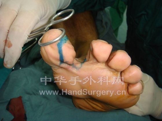 图片8.jpg
