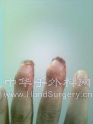 图像0005.jpg